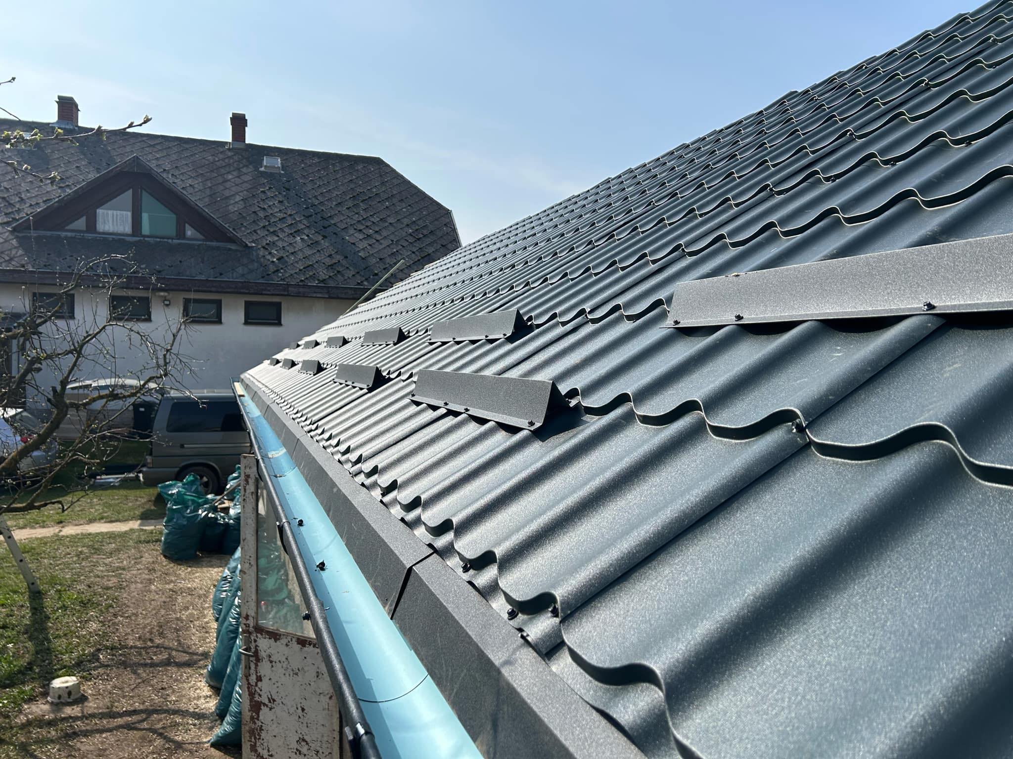 Roof cleaning